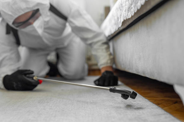 Professional Pest Control technician working in McDowell County County, NC
